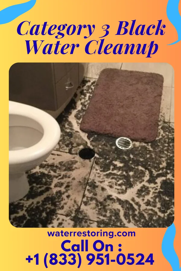 Category 3 Black Water Cleanup in Orange, TX