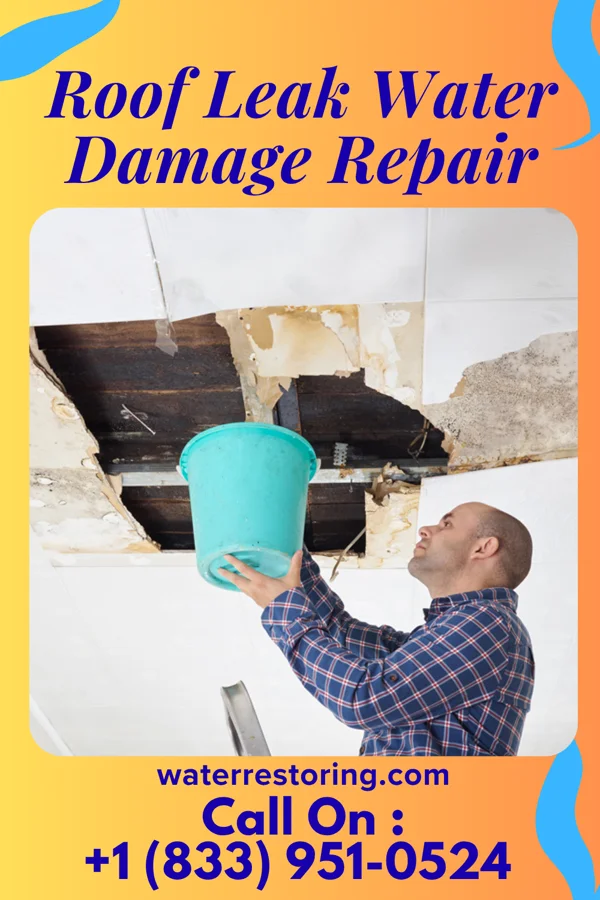 Roof Leak Water Damage Repair in Orange, TX